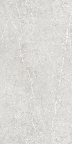 Керамогранит 60х120 Ideal светло-серый GT1206020506LGR: фотография 1