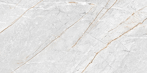 Настенная плитка  50х25 Aventura серая 01 GT136VG : фотография 1