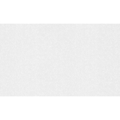 4001-01 Обои "Палитра"  25х1,06м под покраску Метелица : фотография 1