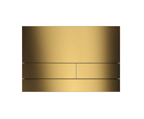 Панель смыва Aquatek KDI-0000051 нержавеющая сталь, цвет шлифованное золото, клавиши прямоугольные: фотография 1