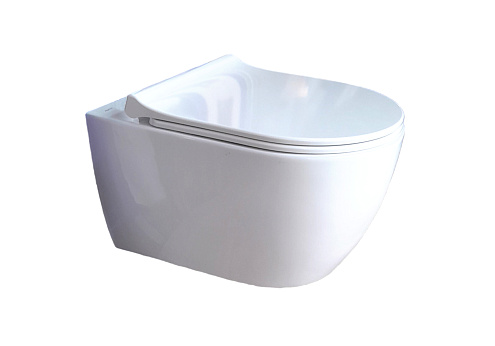 Унитаз подвесной безободковый Aquatek Поларис AQ0700-01, 520х365х370 с легкосъемным сиденьем Soft Close: фотография 1