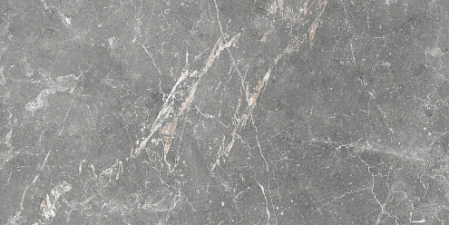 Настенная плитка 50х25 Capella серая GT99VG : фотография 1