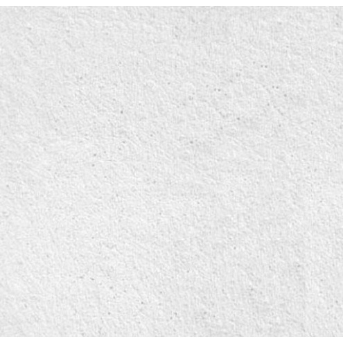 Плита потолочная влагостойкая "Лилия" Rockfon, белая, 600x600x12мм: фотография 1