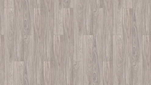 Ламинат Таркетт Timber Forester 33 класс 10мм  4V Дуб Ротондо : фотография 1