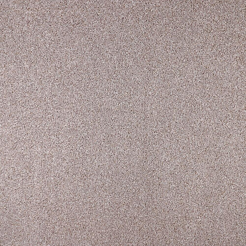 Ковровое покрытие  Discovery 50  4м: фотография 1