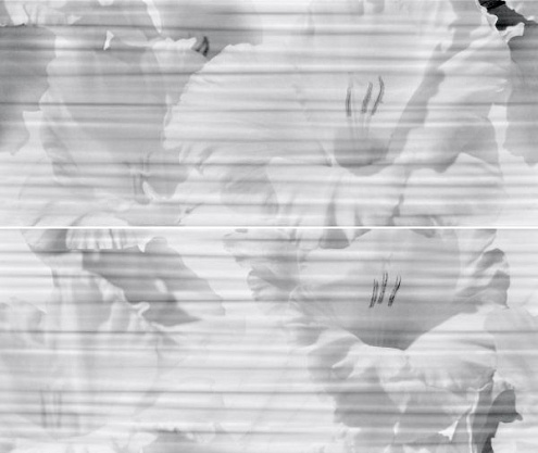 Панно 50х60 Celia white 01: фотография 1