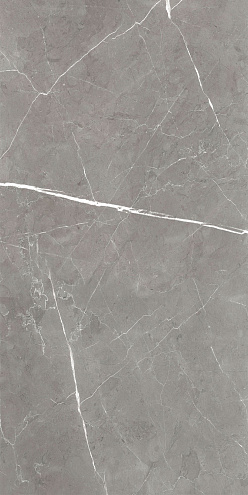 Керамогранит 60х120 Encanto серый GT120603001SPR: фотография 1