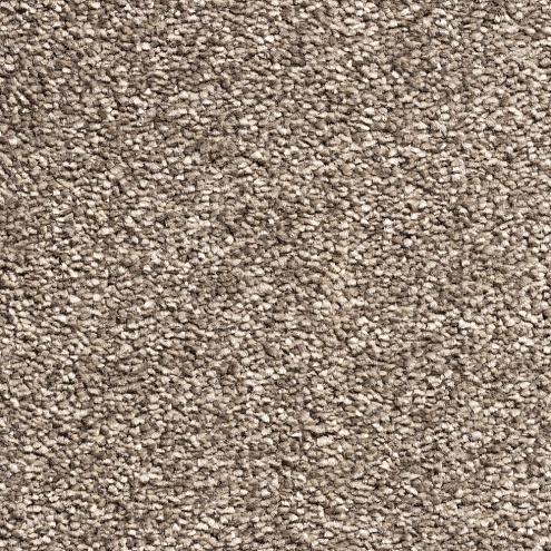 Ковровое покрытие  Cardinal 10558 cream+coffee 3м: фотография 1