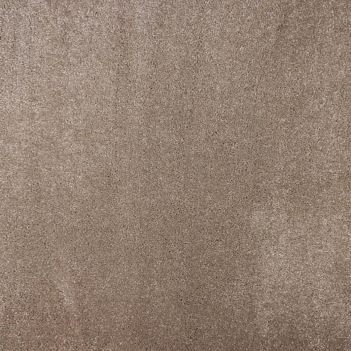 Ковровое покрытие  Discovery 70  5м: фотография 1