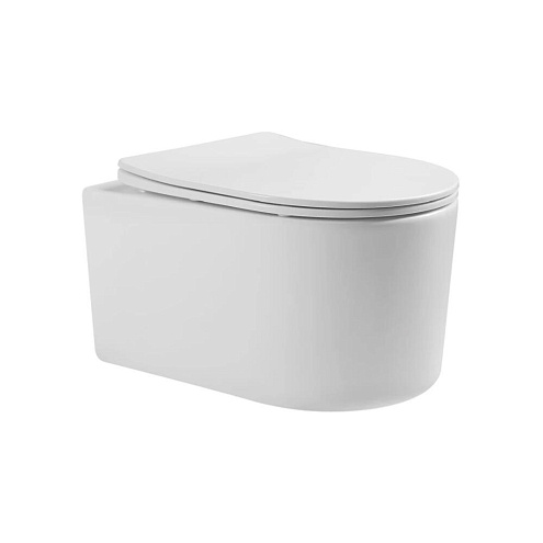 Унитаз подвесной безободковый Aquatek Мия AQ2004-00 490х370х340 с легкосъемным сиденьем Soft Close: фотография 1