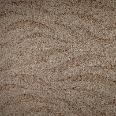 Ковровое покрытие Ария 120   5м: фотография 1