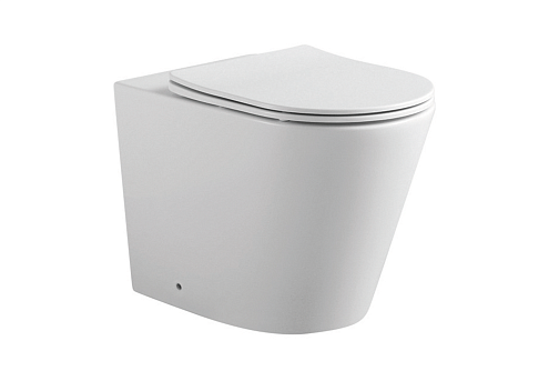 Унитаз напольный приставной безободковый Aquatek Вега AQ1906-00 560х360х410 с сиденьем Soft Close: фотография 1