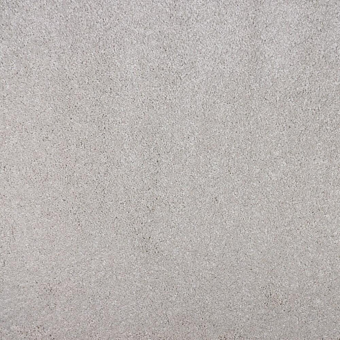 Ковровое покрытие  Mercury Elite 100  4м: фотография 1