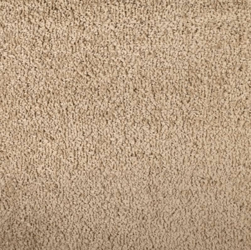 Ковровое покрытие  Super paula 5121A FDT66 beige/beige 4м: фотография 1