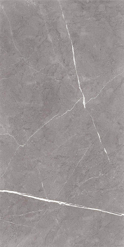 Керамогранит 60х120 Encanto серый GT120603001MCR : фотография 1