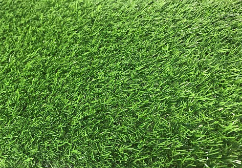 Искусственная трава  NQS - 1812 18 мм - 2м: фотография 1