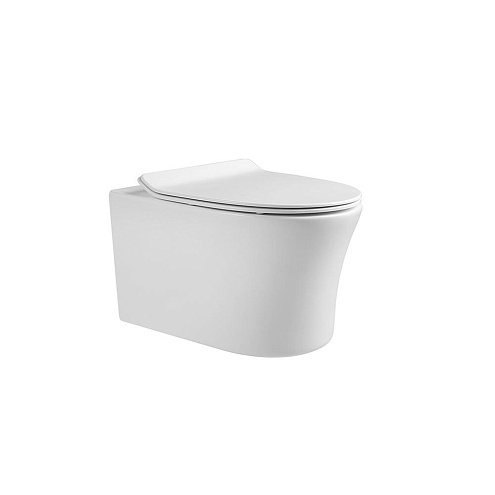 Унитаз подвесной безободковый Aquatek Ника AQ2009-00 525х365х360 с легкосъемным сиденьем Soft Close: фотография 1