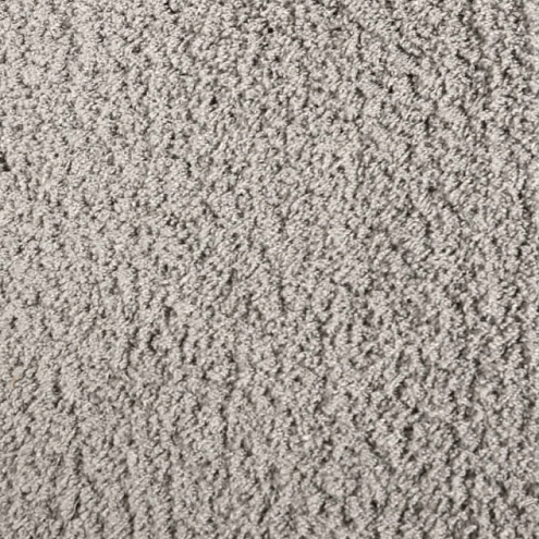 Ковровое покрытие  Gold Shaggy 01800A grey  2м: фотография 1