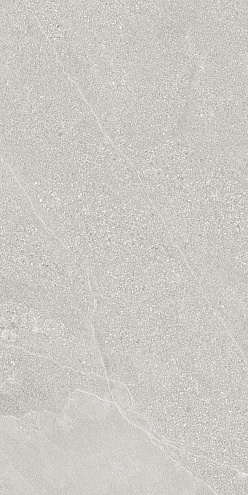 Керамогранит 60х120 Colorado серый GT1206019901MHRR : фотография 1