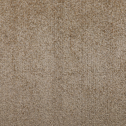 Ковровое покрытие  Драгон - термо 10431   4м: фотография 1