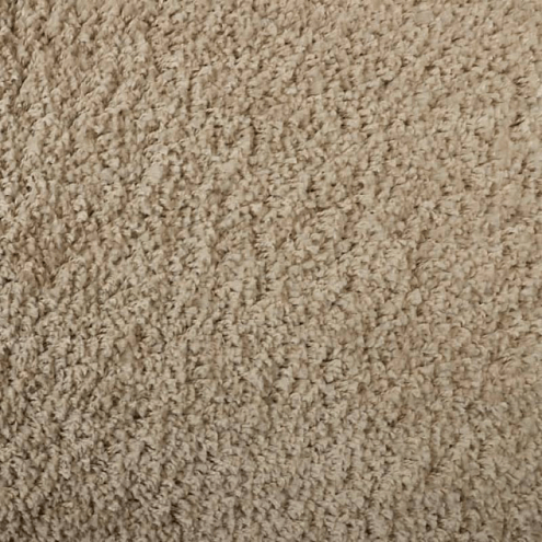 Ковровое покрытие  Super paula 5121A FDT22 l.beige/l.beige 2м: фотография 1