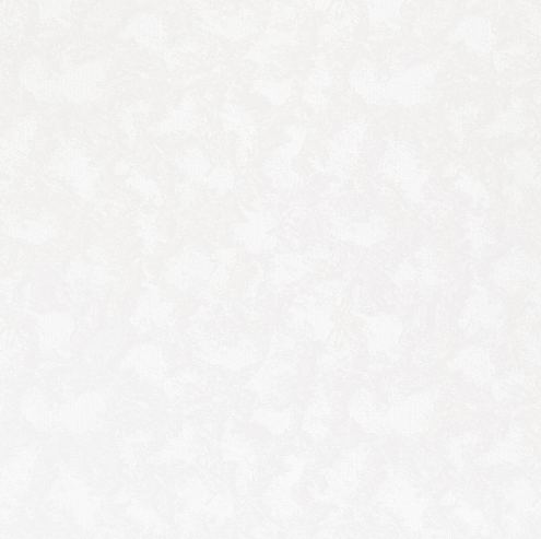 Панель ПВХ ламинированная Торонто 2700х250х8мм : фотография 1