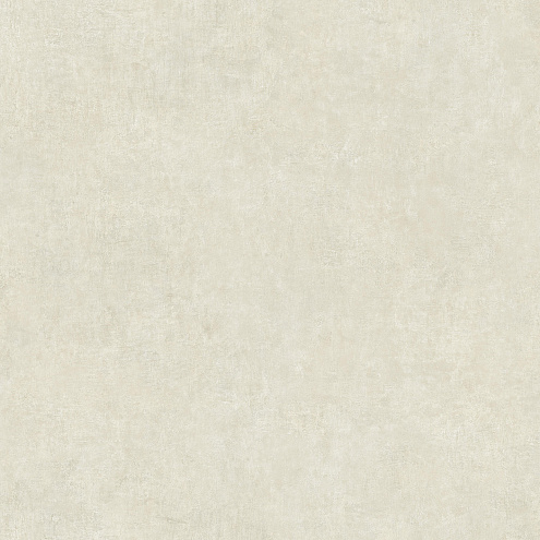 Линолеум Philosophy Concrete 3  2,5м   : фотография 1